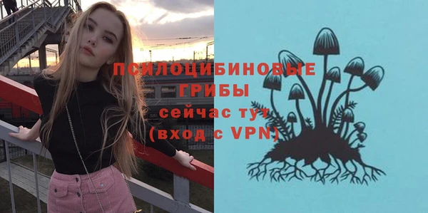 гидра Новокубанск