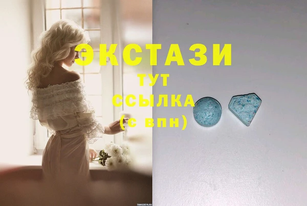 ECSTASY Богданович