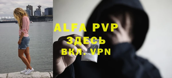 гидра Новокубанск