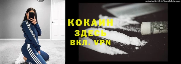 гидра Новокубанск
