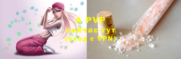 гидра Новокубанск