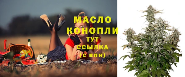 винт Няндома