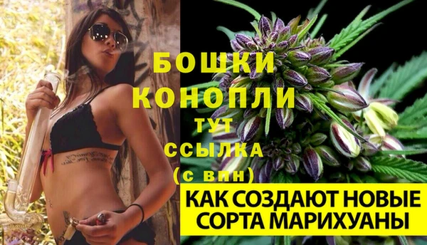 ECSTASY Богданович