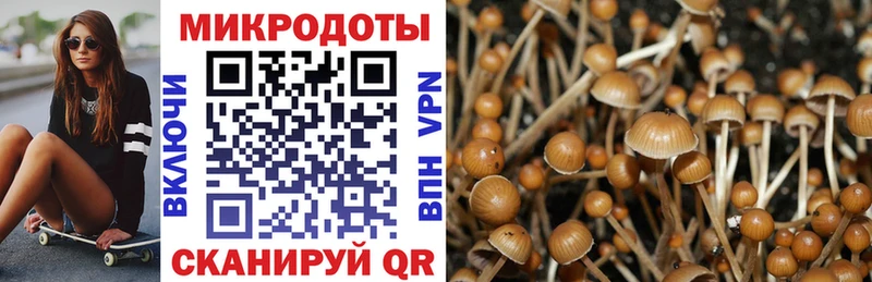 Псилоцибиновые грибы Psilocybine cubensis  Тюкалинск 